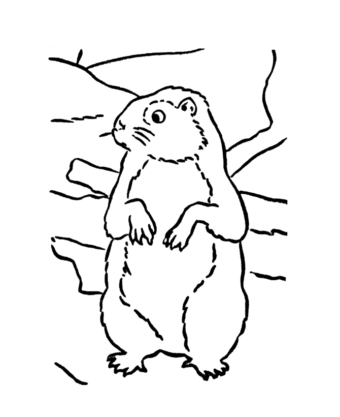 Plansa de colorat cu Marmota 9 32
